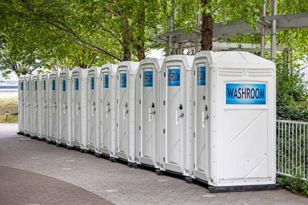 Best Porta potty rental for festivals  in Osceola, WI